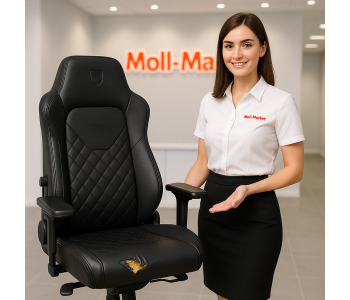 Probleme posibile în utilizare și soluții: Scaun gaming Noblechairs Legend