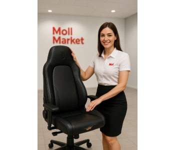 Probleme potențiale și soluții: Scaun gaming Noblechairs Icon