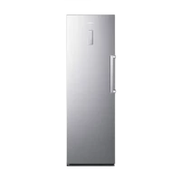 Морозильник HISENSE FV354N4BIE, Серебристый