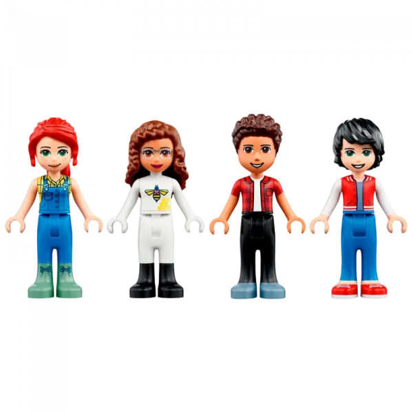 Конструктор LEGO 41703, 8+