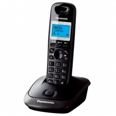 Telefon DECT Panasonic KX-TG2511, Titan