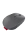 Mouse Lenovo GY51C21211, Gri