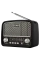Radio portabil SVEN SRP-555, Negru