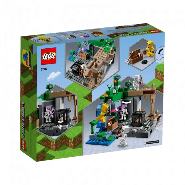 Constructor LEGO 21189, 8+