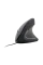 Mouse Gembird MUS-ERGO-01, Negru