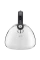Чайник Tefal K2481574, 2,7л, Нержавеющая сталь