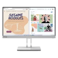 Monitor Lenovo L24e-40 / 23,8 inchi / VA 1920x1080 FHD / Storm Gray
