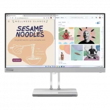 Monitor Lenovo L24e-40 / 23,8 inchi / VA 1920x1080 FHD / Storm Gray
