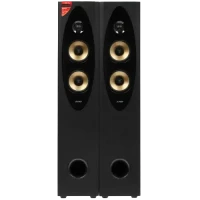 Sistem Audio F&D T-60X PRO, Negru