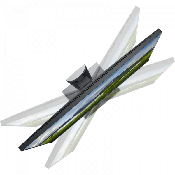 Монитор DELL P2421 / 24,1 дюйма / IPS 1920x1200 WUXGA / Чёрный