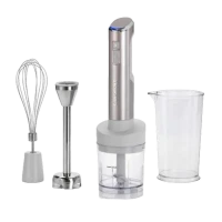 Blender de mână Cuisinart RHB100E, Oțel inoxidabil