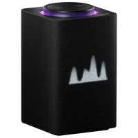 Яндекс Станция Макс, Чёрный