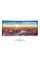 34 Monitor pentru Divertisment Samsung C34J791WTI, SVA 3440x1440 WQHD, Alb