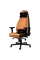 Scaun gaming Noblechairs Icon