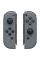 Nintendo Switch, Grey