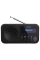Портативное радио Sharp DR-P420BKV01, Чёрный