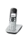 Telefon DECT Panasonic KX-TGE510, Argintiu