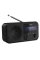 Портативное радио Sharp DR-P420BKV01, Чёрный
