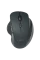 Mouse Wireless Gembird MUSW-6B-01, Negru