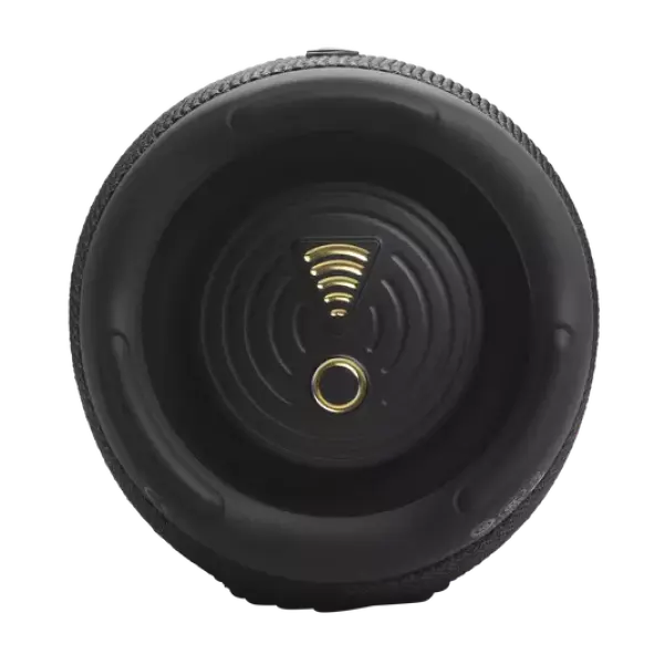 Портативная колонка JBL Charge 5 Wi-Fi, Чёрный