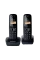 Telefon DECT Panasonic KX-TG1612, Gri