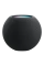 Умная колонка Apple HomePod mini, Серый
