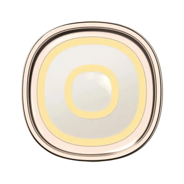 Periuța de dinți electrică sonică Oclean X pro Digital Set, Auriu