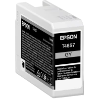 Картридж чернильный Epson T46S UltraChrome Pro 10, 25мл, Серый