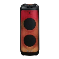 Портативная колонка BLAUPUNKT PB12DB, Чёрный