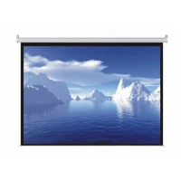 Ecran electric ATRIA MRS-NTSC-120D, 120, 4:3