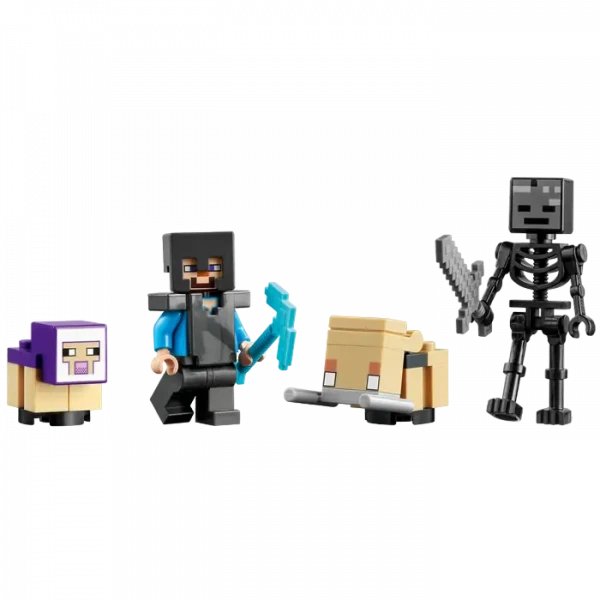 Constructor LEGO 21172, 8+