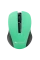 Mouse Wireless Canyon MW-1, Verde