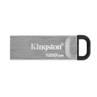 USB Flash накопитель Kingston DataTraveler Kyson, 128Гб, Серебристый
