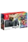 Nintendo Switch, Grey