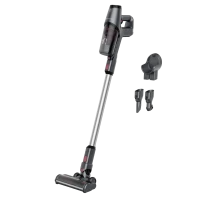 Вертикальный Пылесос Rowenta RH6933WO, Чёрный | Серебристый