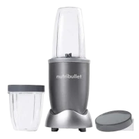 Blender staționar NutriBullet NB505DG, Argintiu