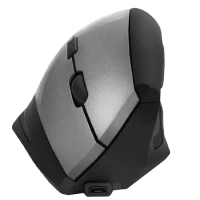 Mouse Wireless SVEN RX-580SW, Gri