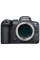 Aparat Foto Mirrorless Canon EOS R6, Negru