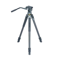 Штатив для видеокамер Vanguard ALTA PRO2 263AV, Видеоголовка, Серый