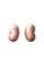 Căști pentru telefoane mobile Samsung Galaxy Buds Live, Bluetooth, Bronz