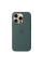 Чехол Apple iPhone16 Pro Silicone Case with MagSafe, Lake Green