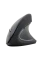 Mouse Wireless Gembird MUSW-ERGO, Negru