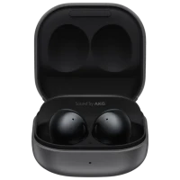 Наушники Samsung Galaxy Buds2, Чёрный