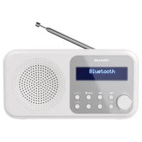 Портативное радио Sharp DR-P420WHV01, Белый