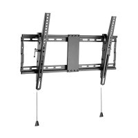 Настенное крепление для телевизора Gembird WM-80T-01, Чёрный