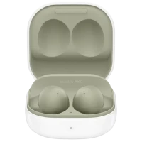 Наушники Samsung Galaxy Buds2, Оливковый
