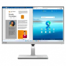 Monitor Lenovo L24m-40 / 23,8 inchi / IPS 1920x1080 FHD / Cloud Grey