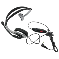 Căști Panasonic RP-TCA430, Argintiu