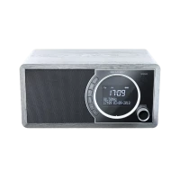 Radio portabil Sharp DR-450GRV02, Grey