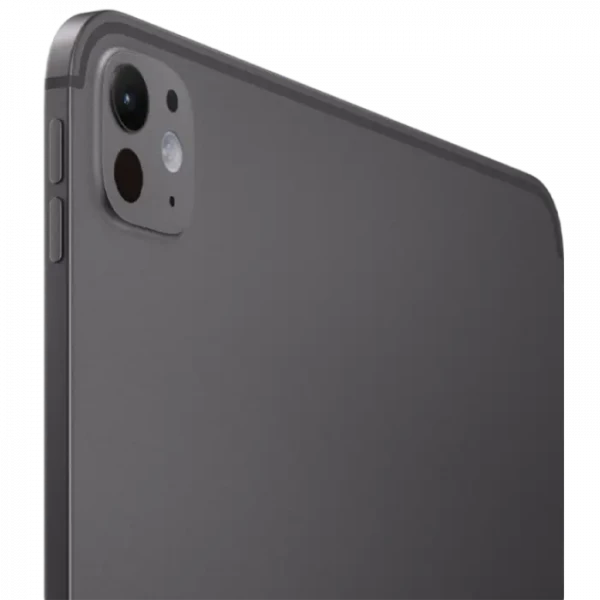 Tabletă Apple iPad Pro 11-inch A2836, Wi-Fi, 8GB/256GB, Space Black